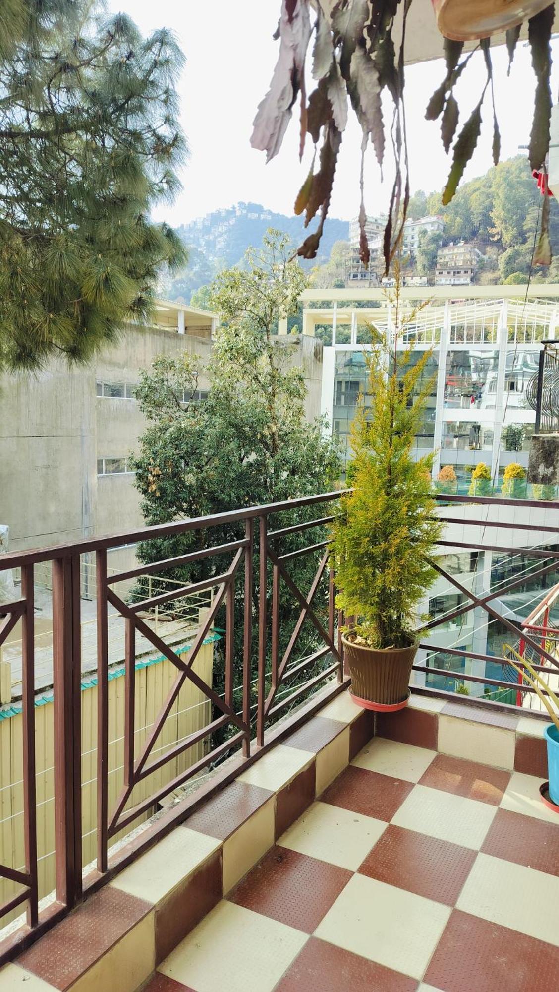 Shimla Vibes B & B Free Pick & Drop From Isbt Shimla Eksteriør bilde
