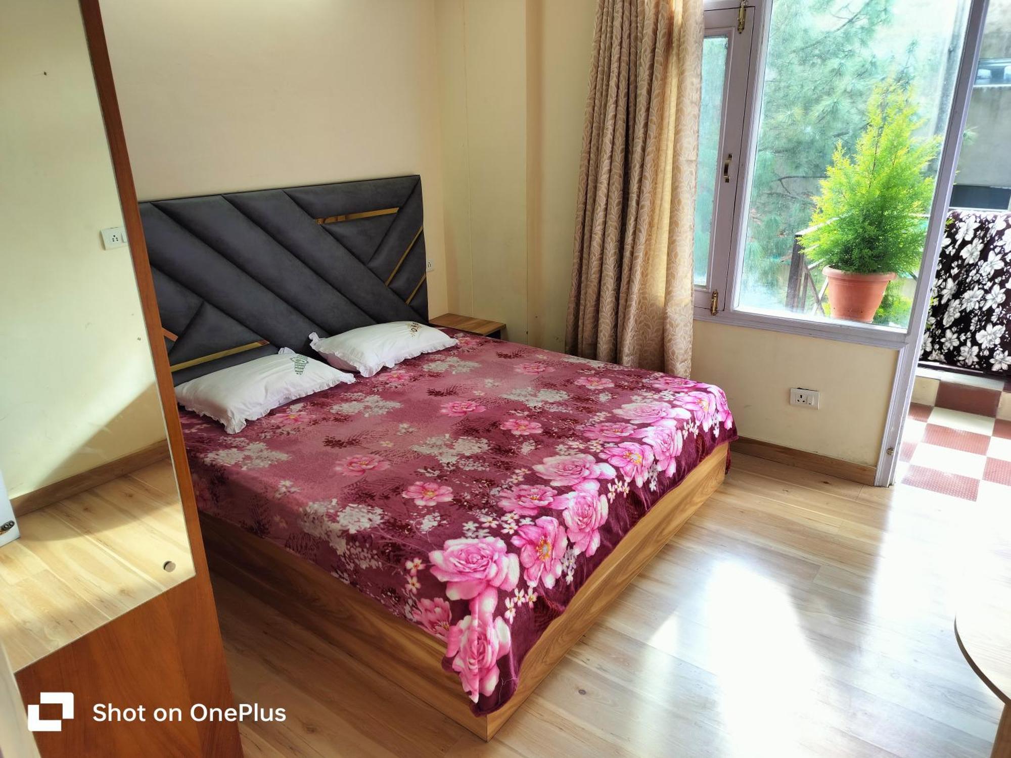 Shimla Vibes B & B Free Pick & Drop From Isbt Shimla Eksteriør bilde