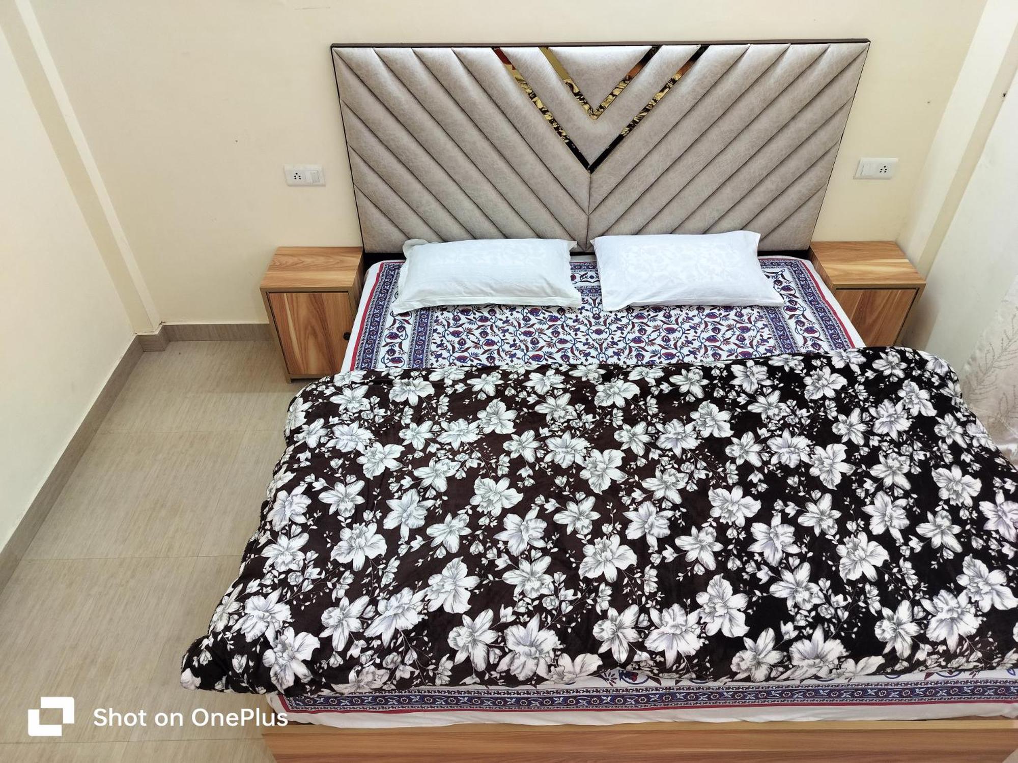 Shimla Vibes B & B Free Pick & Drop From Isbt Shimla Eksteriør bilde