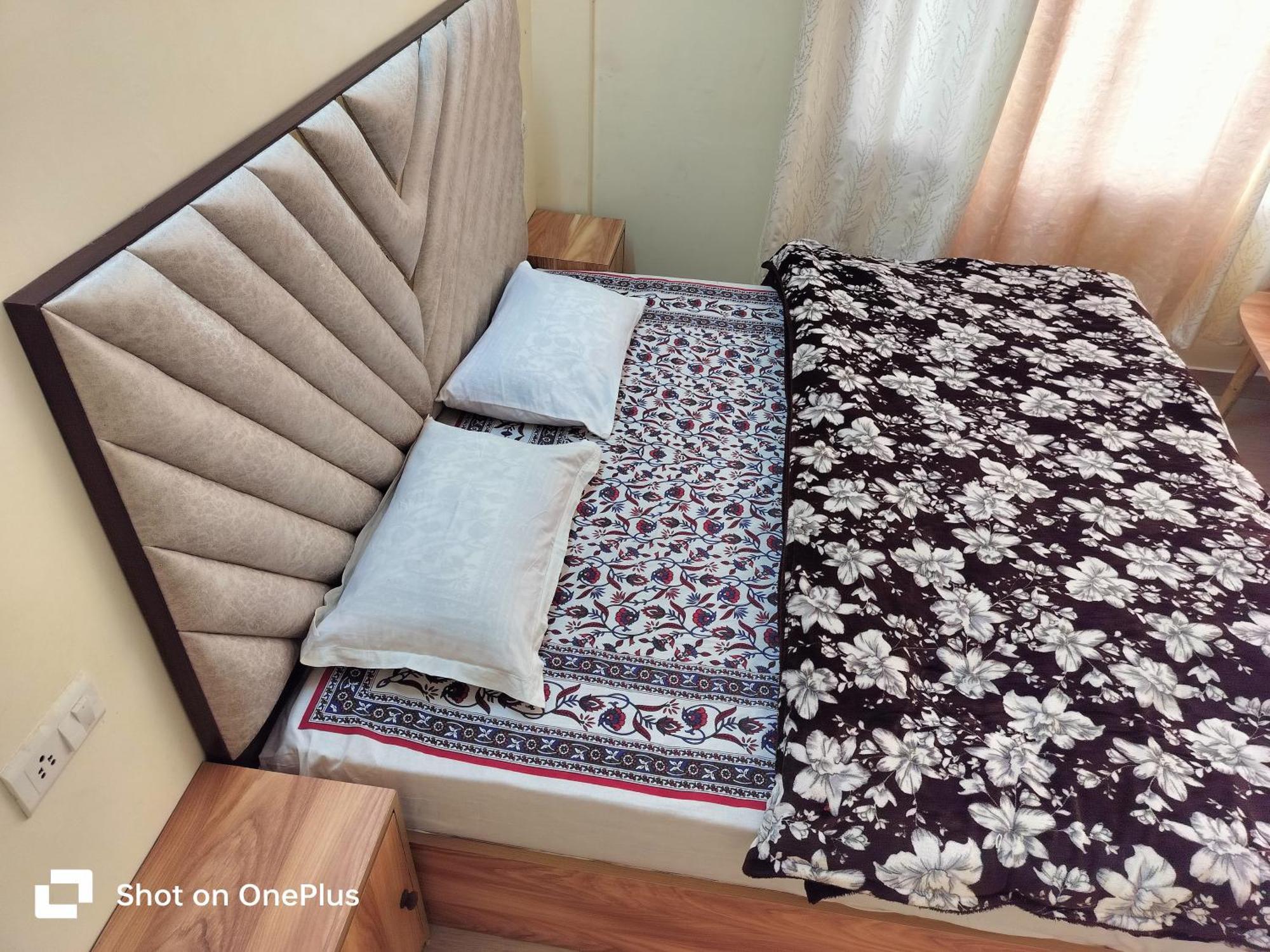 Shimla Vibes B & B Free Pick & Drop From Isbt Shimla Eksteriør bilde