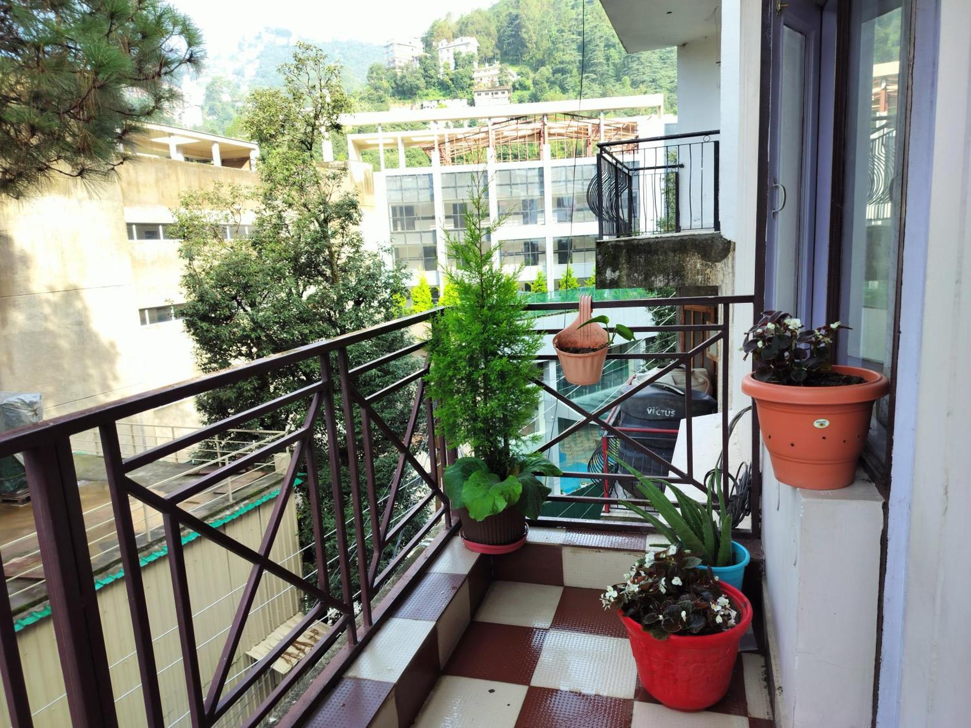 Shimla Vibes B & B Free Pick & Drop From Isbt Shimla Eksteriør bilde